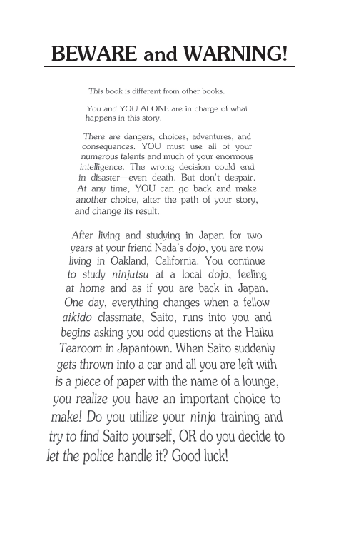 The Lost Ninja, Children's Book