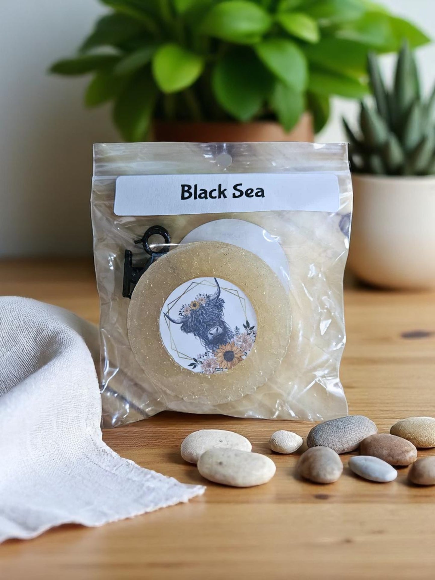 Car Vents (Black Sea)