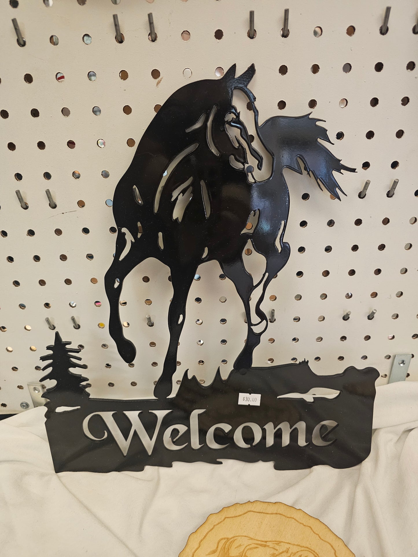 Horse. Welcome