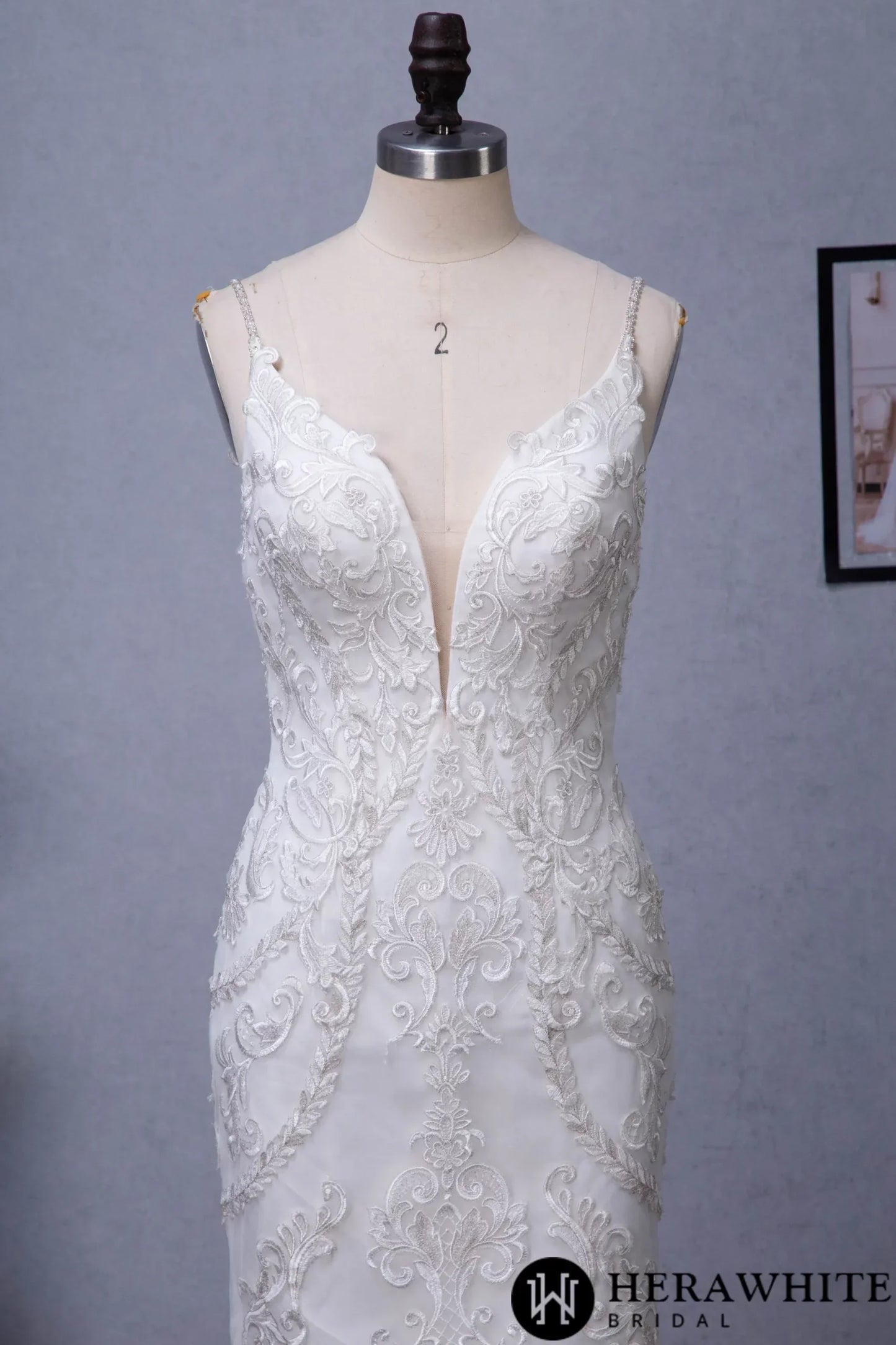 Plunging V-neck Silver Embroidered Lace Court Train Wedding Dress