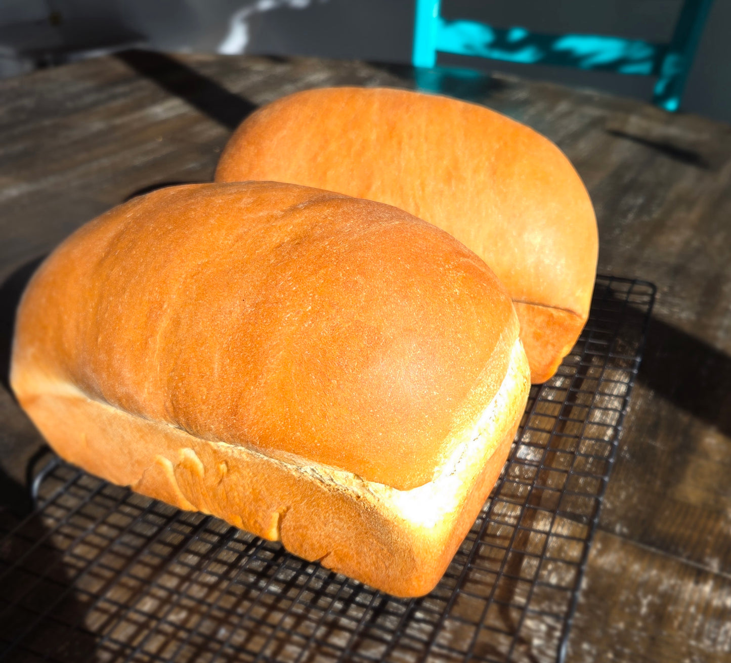 Yeast Sandwhich Bread