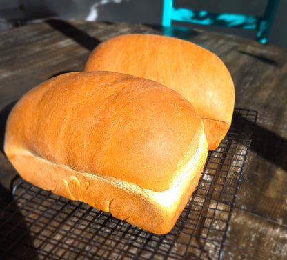 Yeast Sandwhich Bread