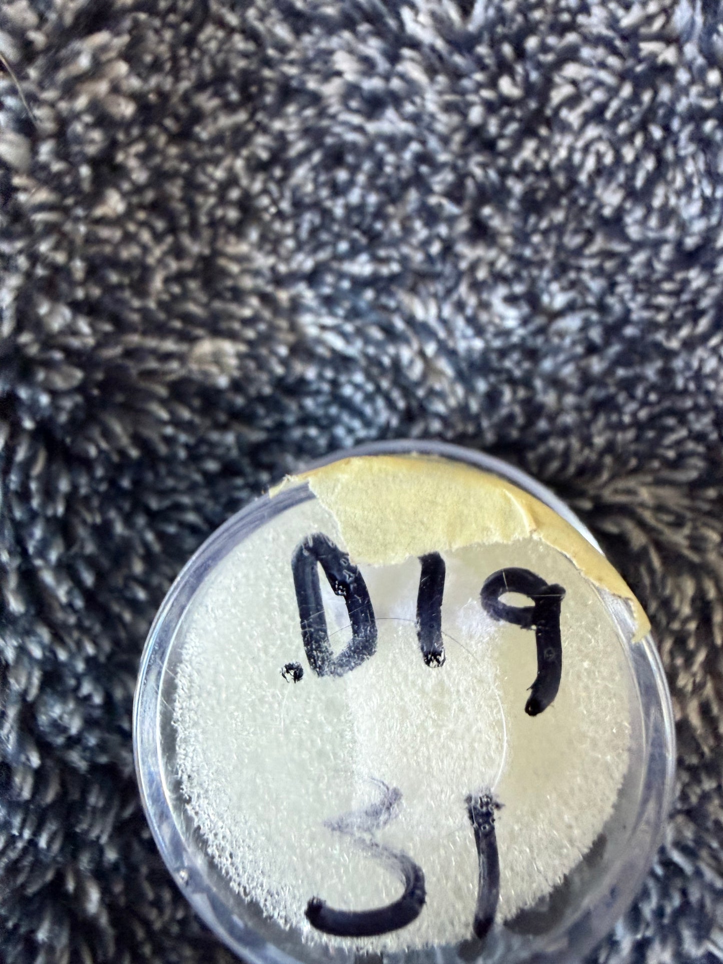 .019 grams gold