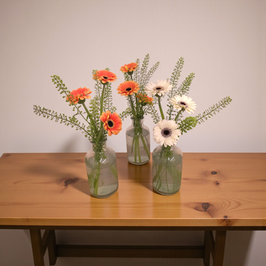 Mini Gerbera Daisies