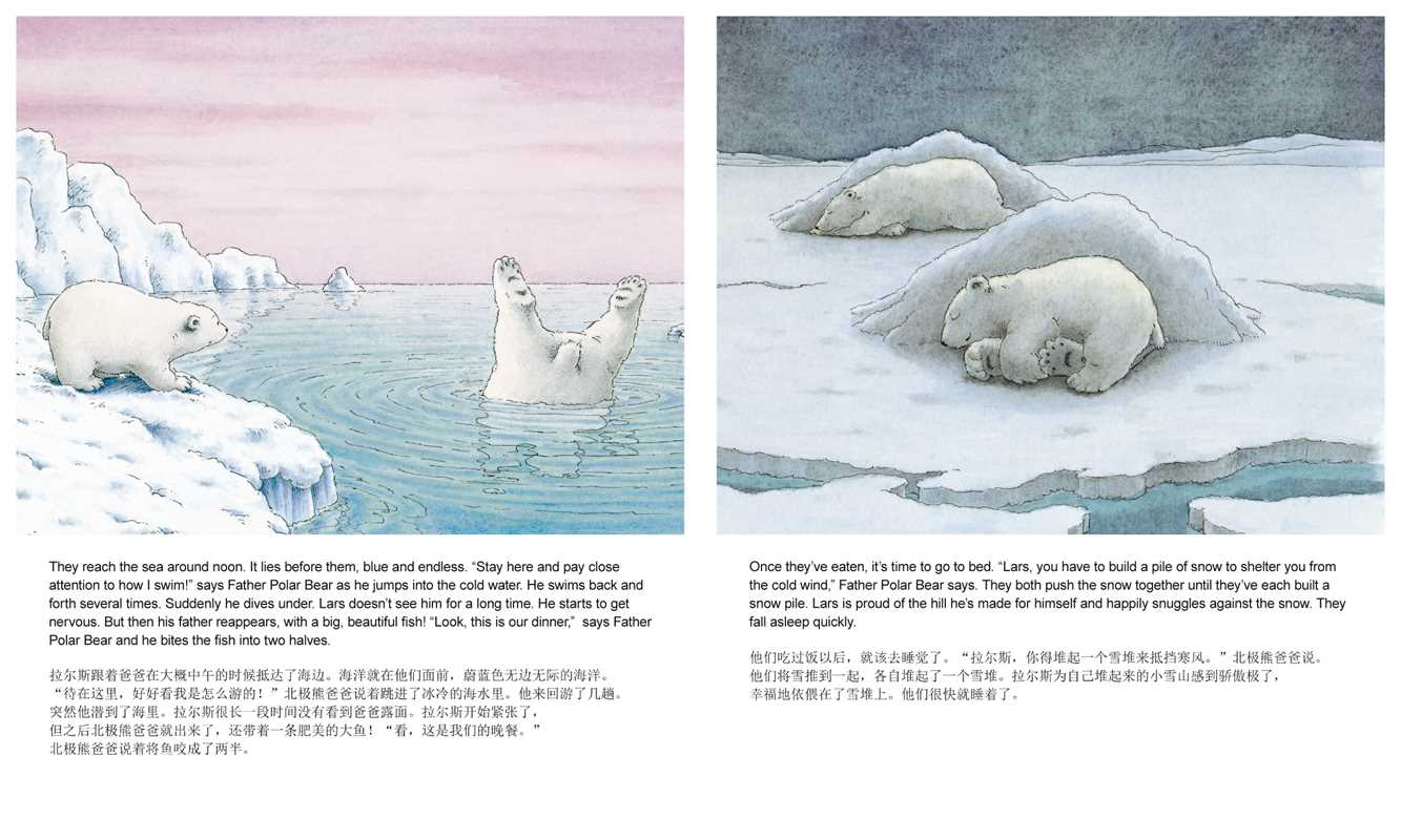 Little Polar Bear/Bi:libri - Eng/Chinese PB by Hans de Beer