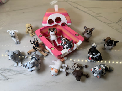 Pet Crate with Pet