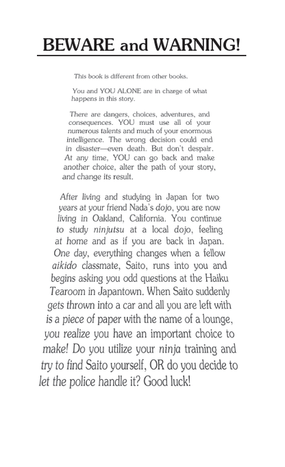 The Lost Ninja, Children's Book