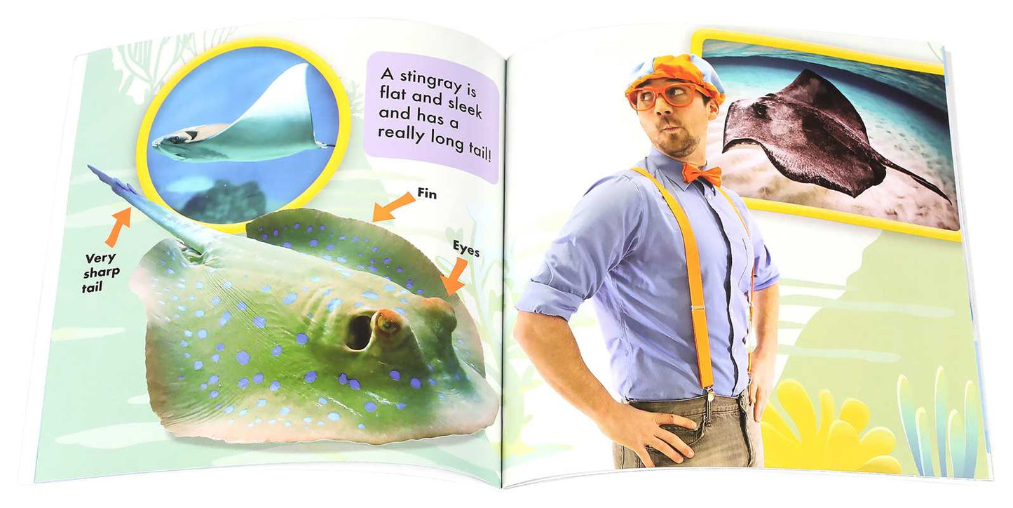 Blippi: Let's See Animals! by Thea Feldman