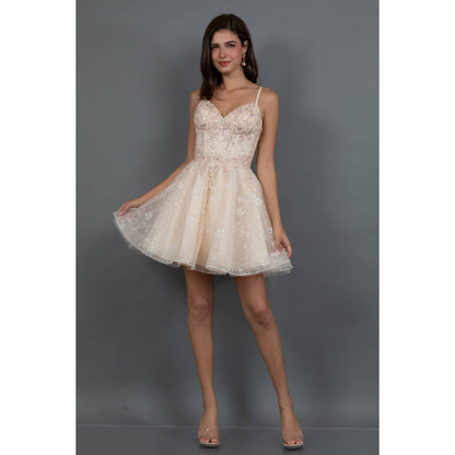 Short Corset Dress With Floral Embroidery