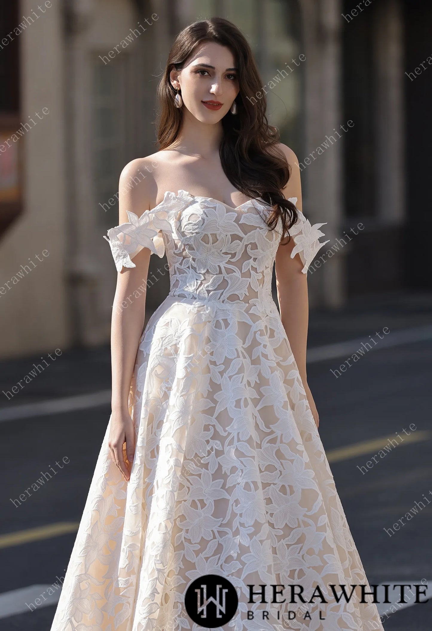 Romantic Off-the-Shoulder  Princess Dress In Floral Lace HW3824